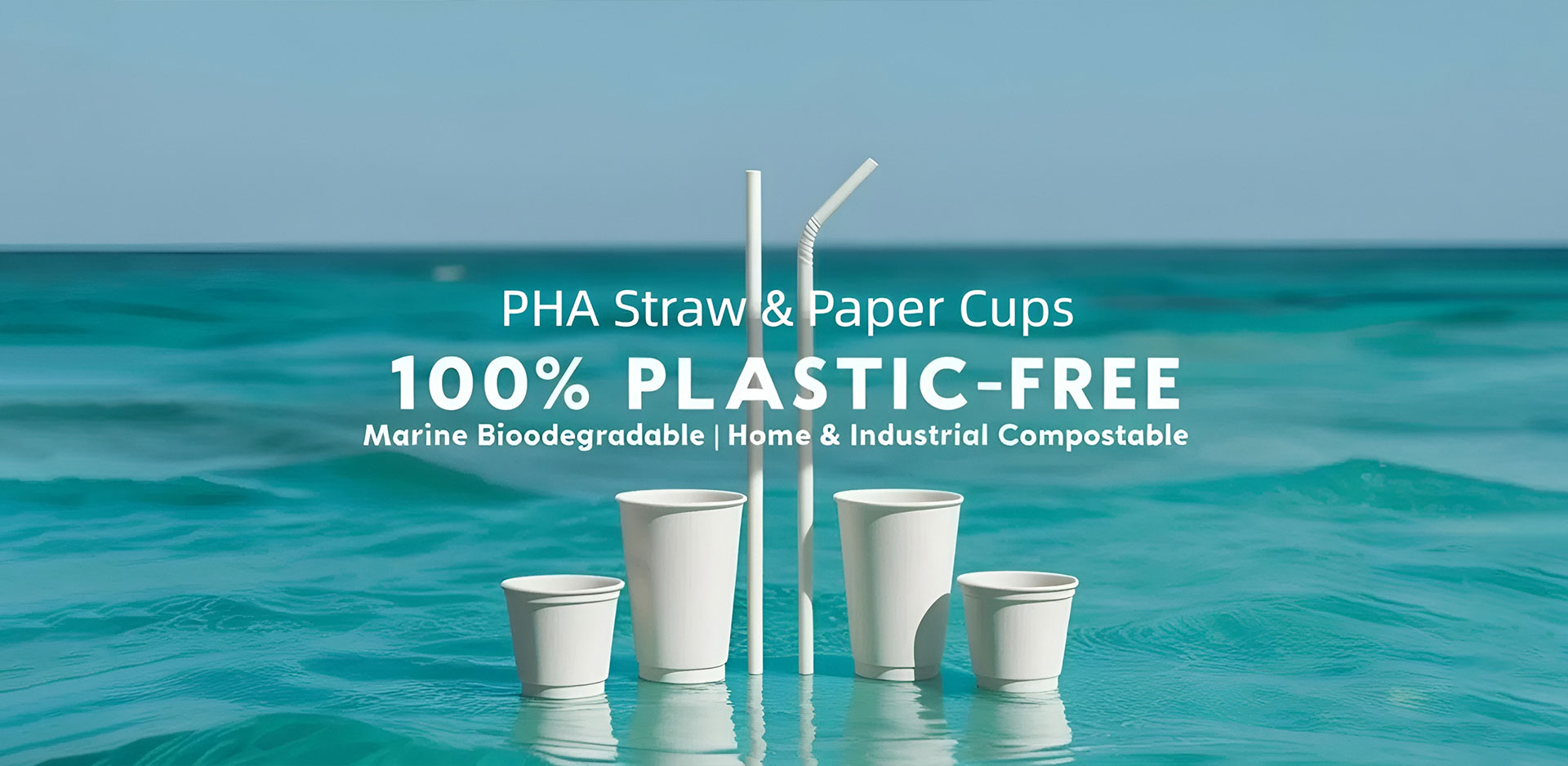 中国のペーパーカップサプライヤー 中国のペーパーカップサプライヤー